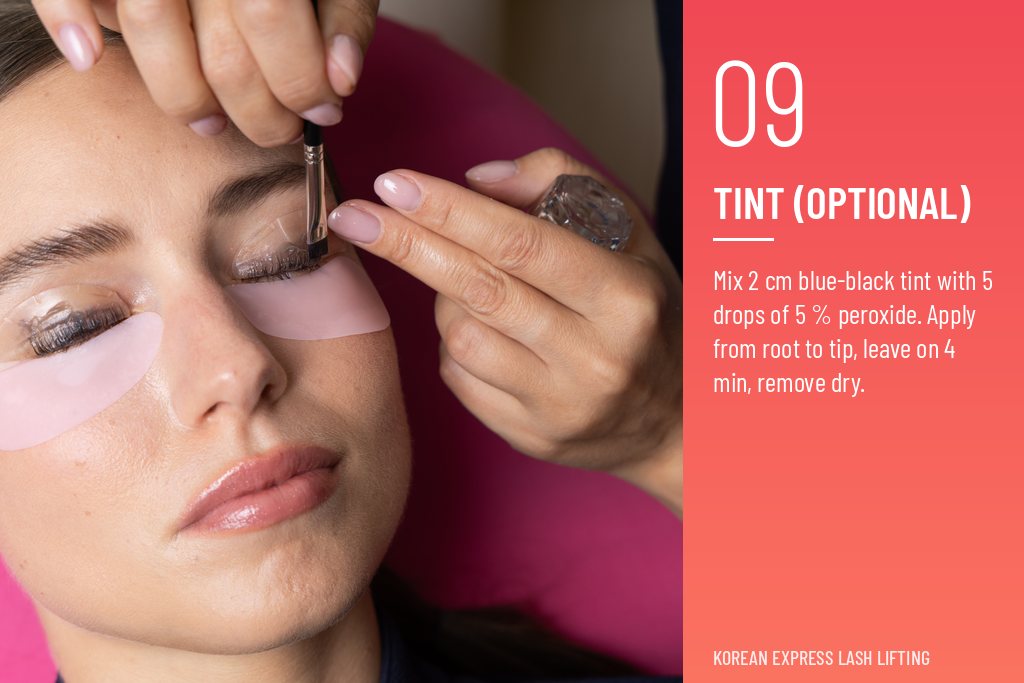S109_step-09_tint_EN_1024x683
